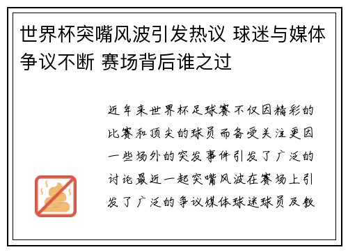 世界杯突嘴风波引发热议 球迷与媒体争议不断 赛场背后谁之过